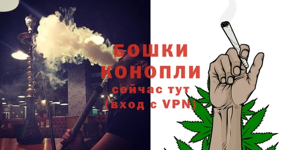 ПСИЛОЦИБИНОВЫЕ ГРИБЫ Горнозаводск