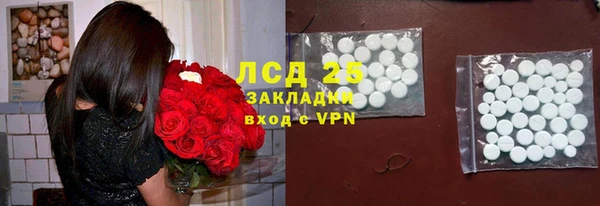 сатива Горно-Алтайск