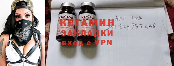 шишки Новодвинск