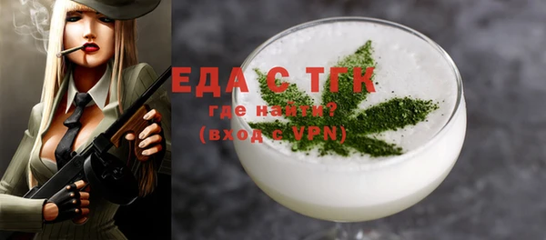 мдпв Гусев