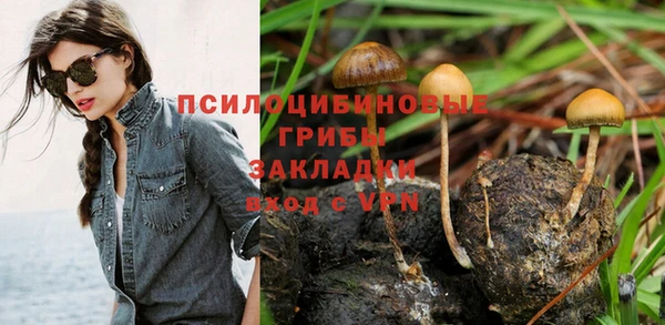 гидра Новозыбков