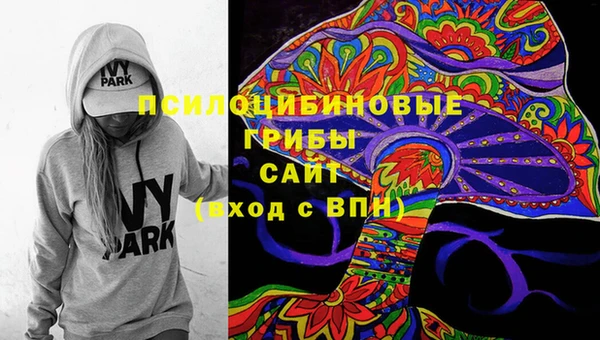 ПСИЛОЦИБИНОВЫЕ ГРИБЫ Горнозаводск