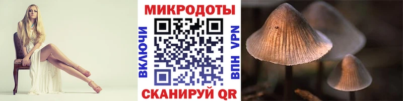Галлюциногенные грибы GOLDEN TEACHER  Мончегорск 